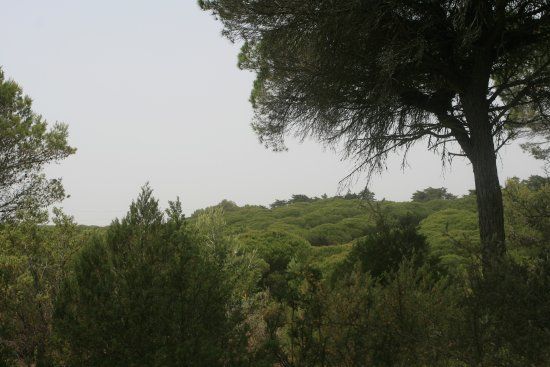 Parque Natural Las Breñas